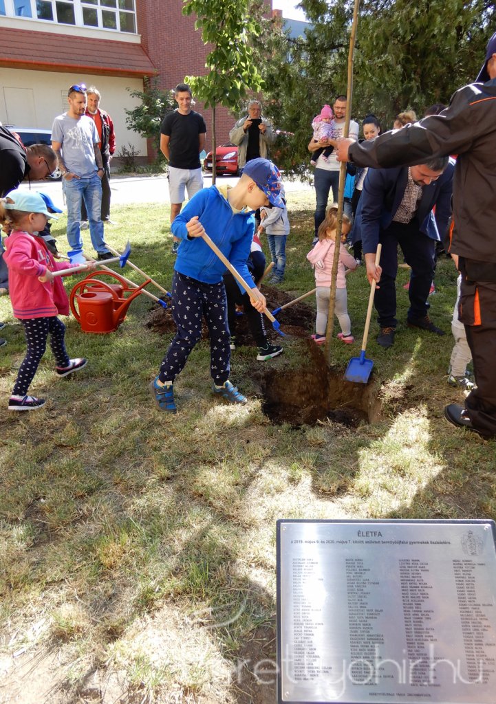 Életfa ültetés a város napján 30